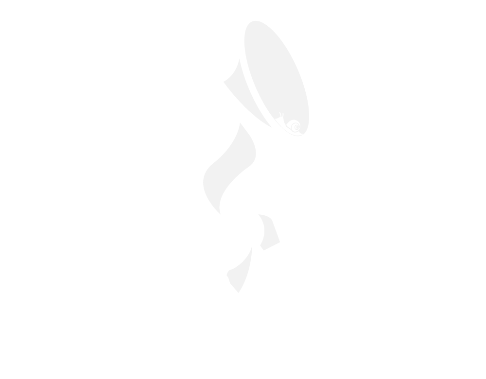 Fanfar'Ov - Fanfare balkan Montpellier